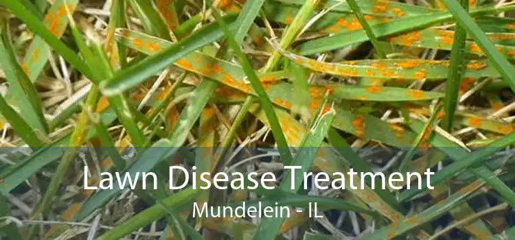 Lawn Disease Treatment Mundelein - IL