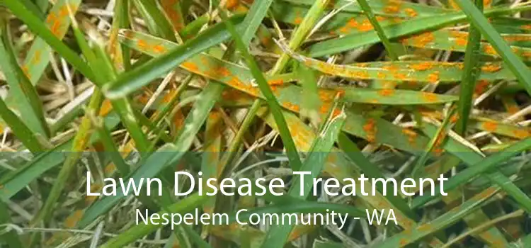 Lawn Disease Treatment Nespelem Community - WA
