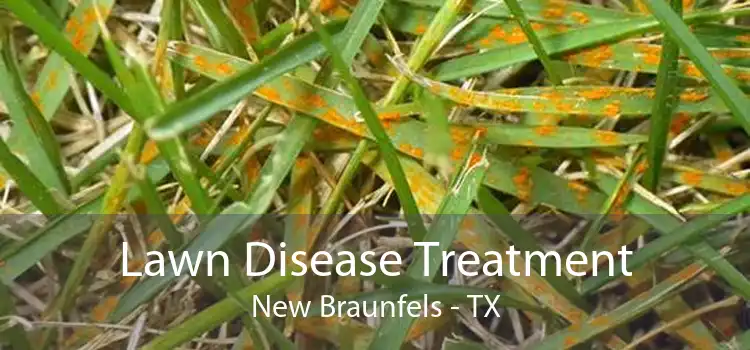 Lawn Disease Treatment New Braunfels - TX