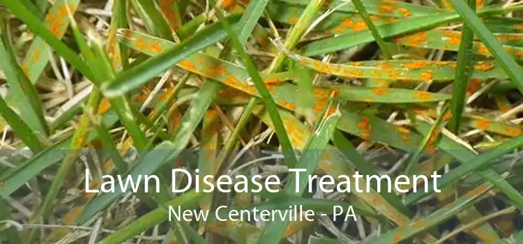 Lawn Disease Treatment New Centerville - PA