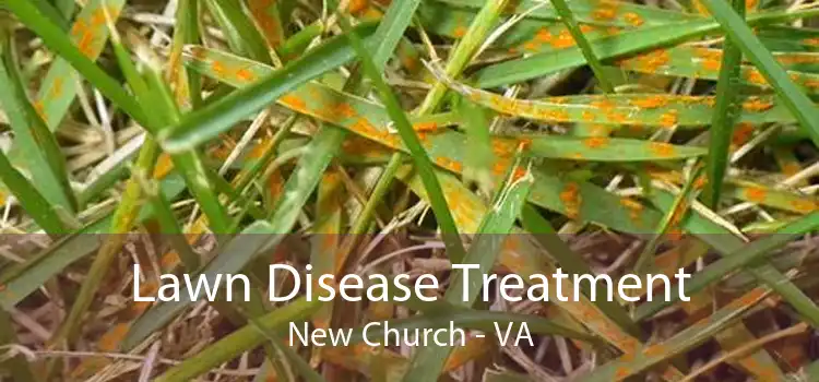 Lawn Disease Treatment New Church - VA