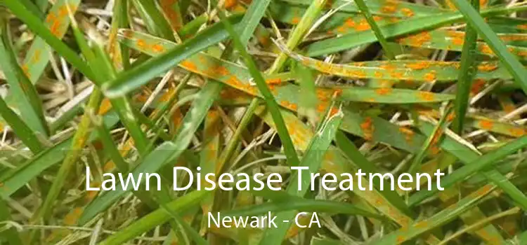 Lawn Disease Treatment Newark - CA