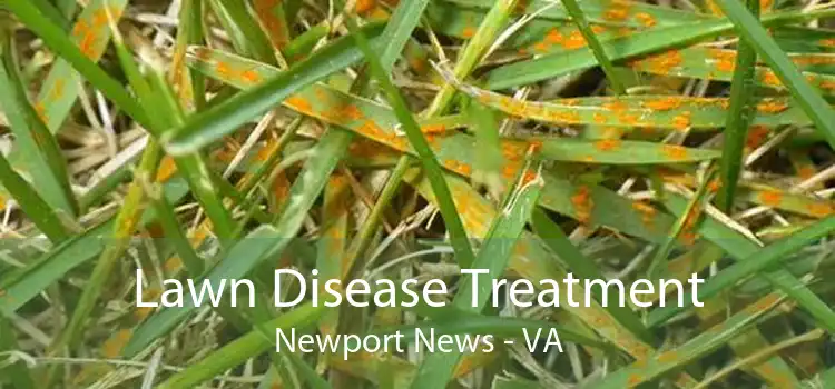 Lawn Disease Treatment Newport News - VA