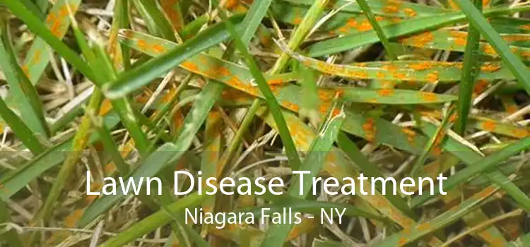 Lawn Disease Treatment Niagara Falls - NY