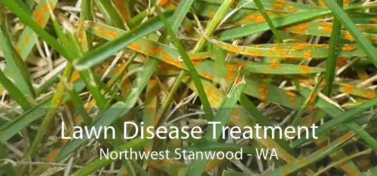 Lawn Disease Treatment Northwest Stanwood - WA