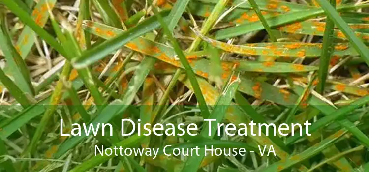 Lawn Disease Treatment Nottoway Court House - VA