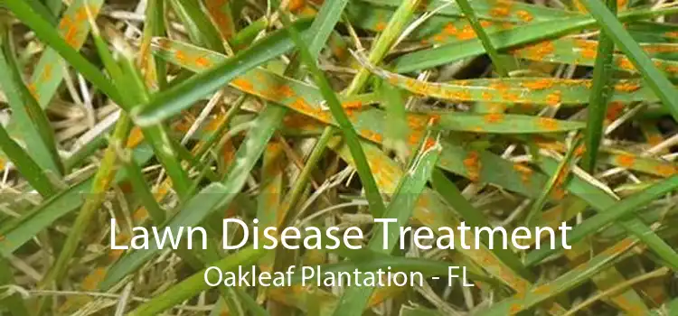 Lawn Disease Treatment Oakleaf Plantation - FL