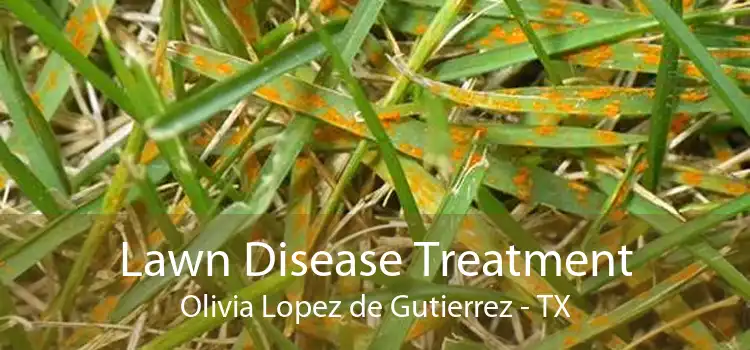 Lawn Disease Treatment Olivia Lopez de Gutierrez - TX