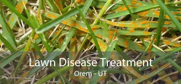 Lawn Disease Treatment Orem - UT