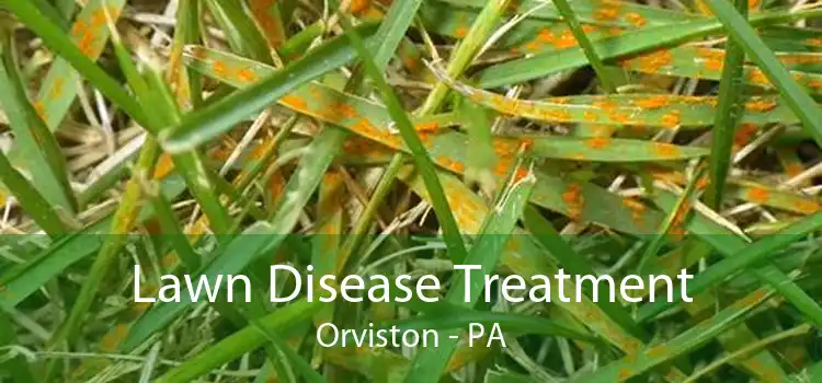 Lawn Disease Treatment Orviston - PA