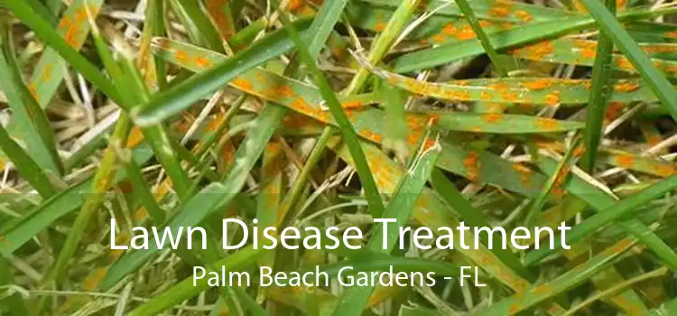 Lawn Disease Treatment Palm Beach Gardens - FL