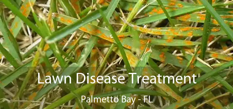 Lawn Disease Treatment Palmetto Bay - FL