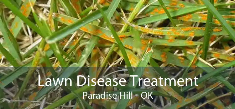 Lawn Disease Treatment Paradise Hill - OK