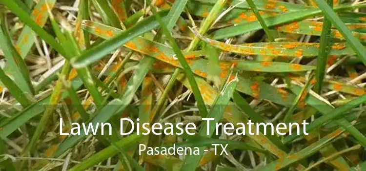 Lawn Disease Treatment Pasadena - TX