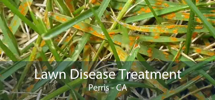 Lawn Disease Treatment Perris - CA