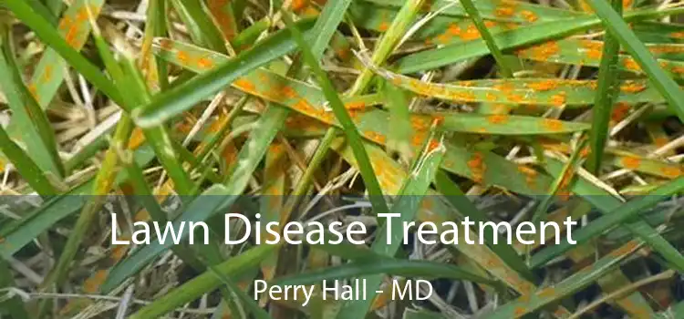 Lawn Disease Treatment Perry Hall - MD