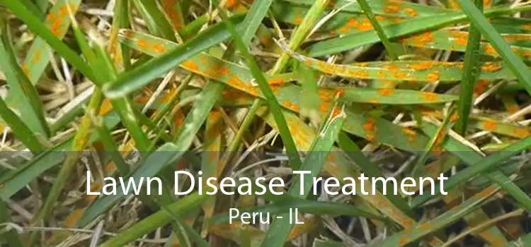Lawn Disease Treatment Peru - IL