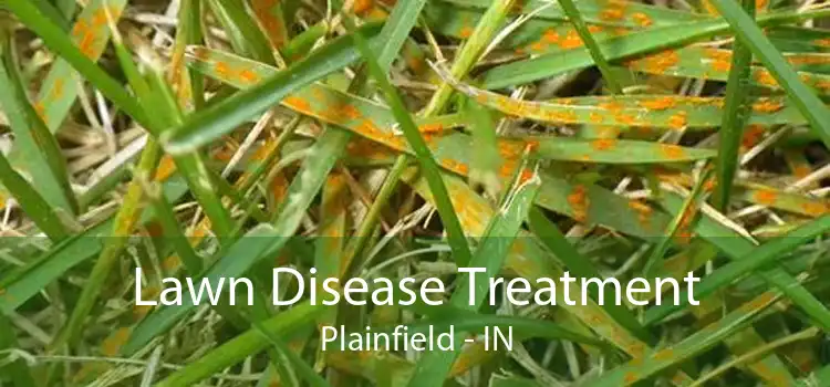 Lawn Disease Treatment Plainfield - IN