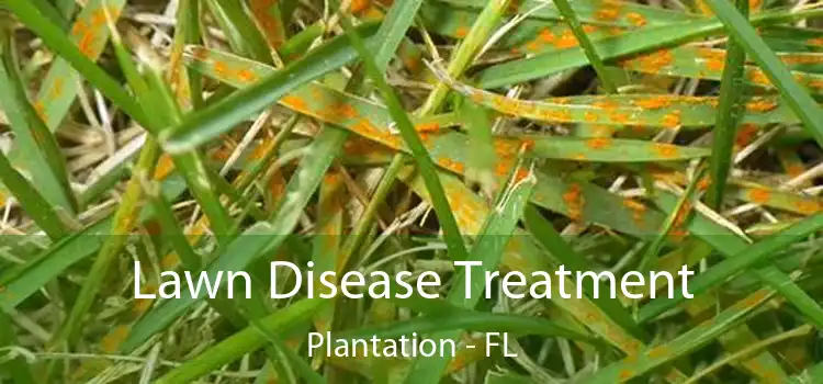 Lawn Disease Treatment Plantation - FL