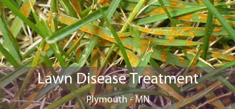  Lawn Disease Treatment Plymouth - MN
