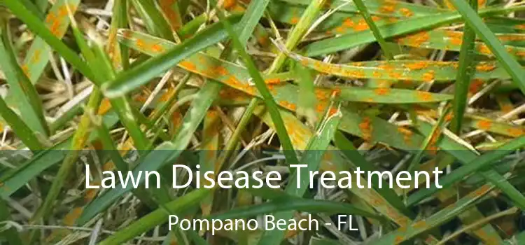 Lawn Disease Treatment Pompano Beach - FL