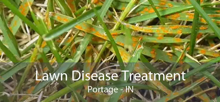 Lawn Disease Treatment Portage - IN