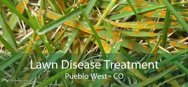 Lawn Disease Treatment Pueblo West - CO
