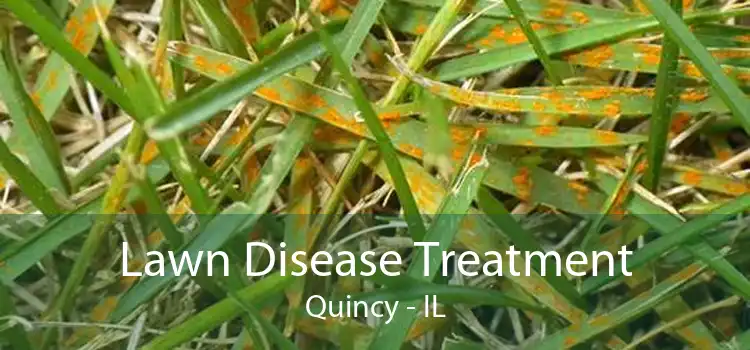 Lawn Disease Treatment Quincy - IL