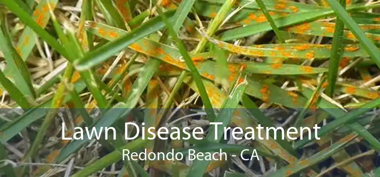 Lawn Disease Treatment Redondo Beach - CA