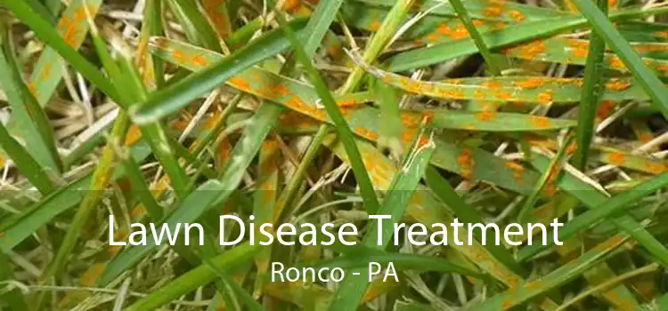 Lawn Disease Treatment Ronco - PA