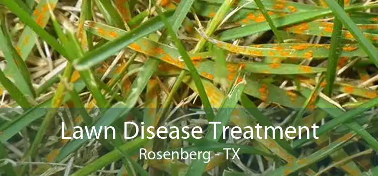Lawn Disease Treatment Rosenberg - TX