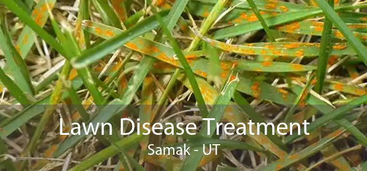 Lawn Disease Treatment Samak - UT