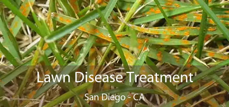 Lawn Disease Treatment San Diego - CA