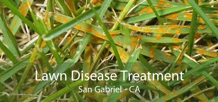 Lawn Disease Treatment San Gabriel - CA