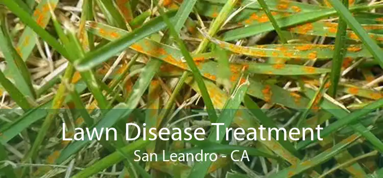 Lawn Disease Treatment San Leandro - CA