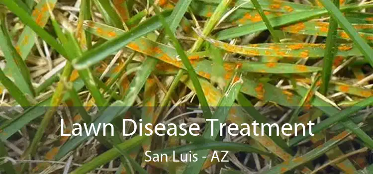Lawn Disease Treatment San Luis - AZ