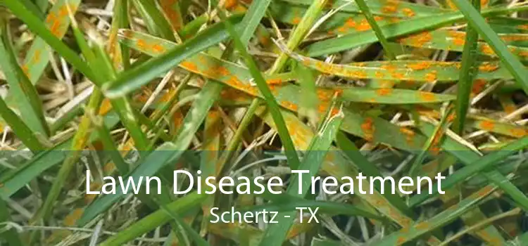 Lawn Disease Treatment Schertz - TX