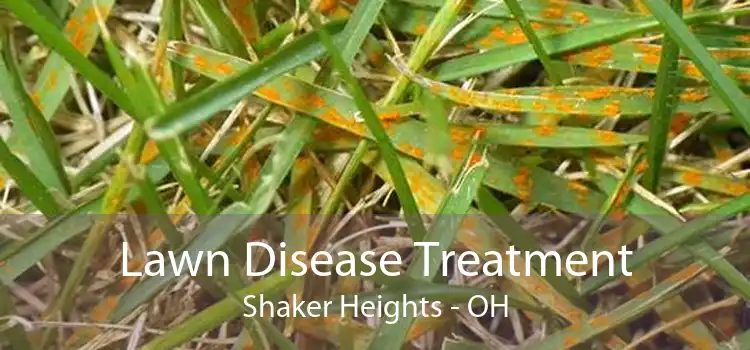 Lawn Disease Treatment Shaker Heights - OH