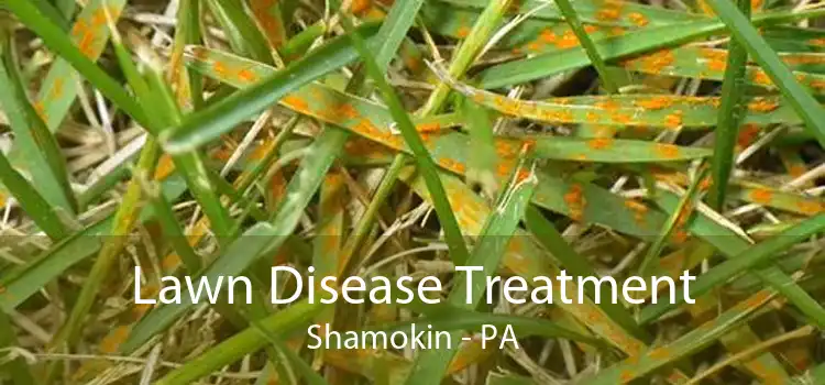 Lawn Disease Treatment Shamokin - PA