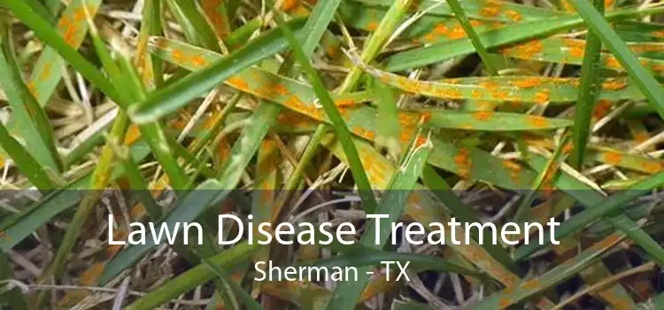 Lawn Disease Treatment Sherman - TX