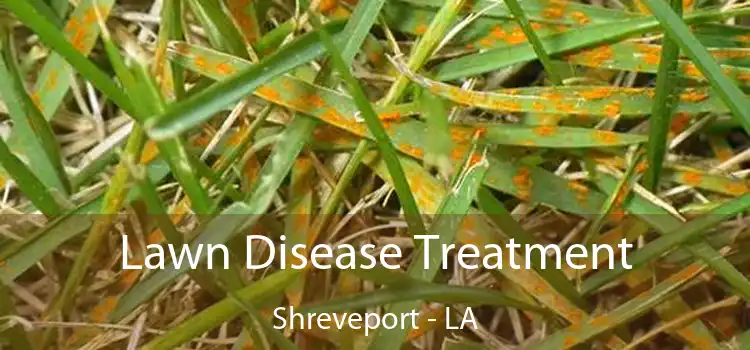 Lawn Disease Treatment Shreveport - LA