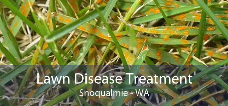 Lawn Disease Treatment Snoqualmie - WA
