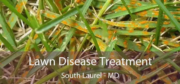  Lawn Disease Treatment South Laurel - MD