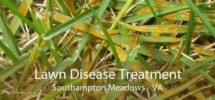 Lawn Disease Treatment Southampton Meadows - VA