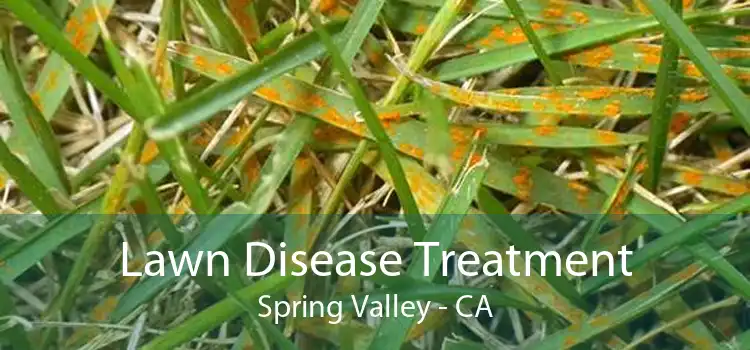 Lawn Disease Treatment Spring Valley - CA