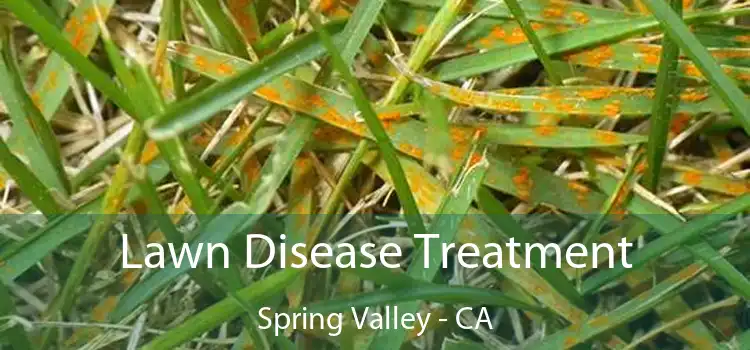 Lawn Disease Treatment Spring Valley - CA