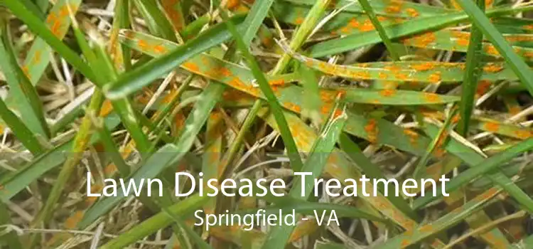 Lawn Disease Treatment Springfield - VA