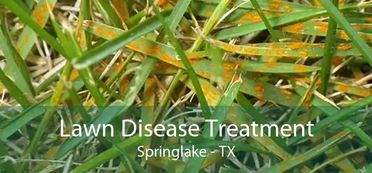  Lawn Disease Treatment Springlake - TX