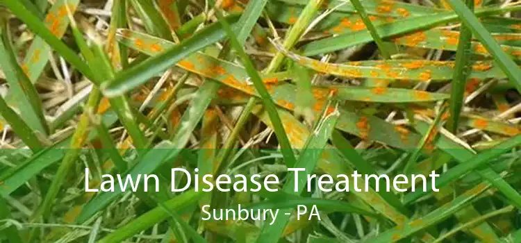 Lawn Disease Treatment Sunbury - PA