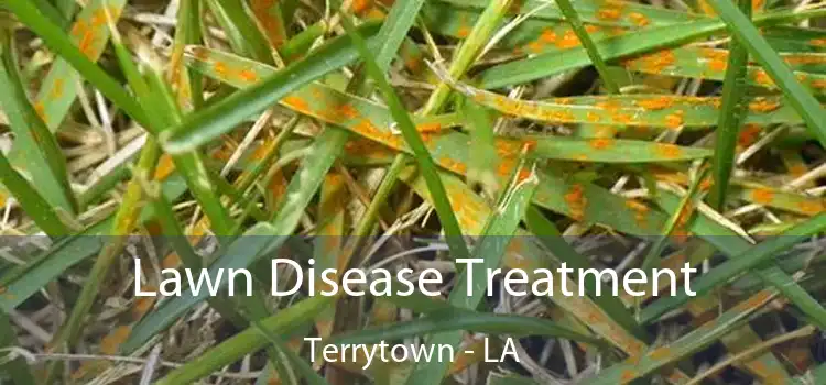 Lawn Disease Treatment Terrytown - LA